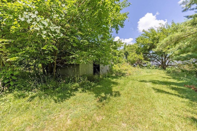 4093 State Route 257, Radnor, OH 43066 - view of green lawn featuring an outdoor structure