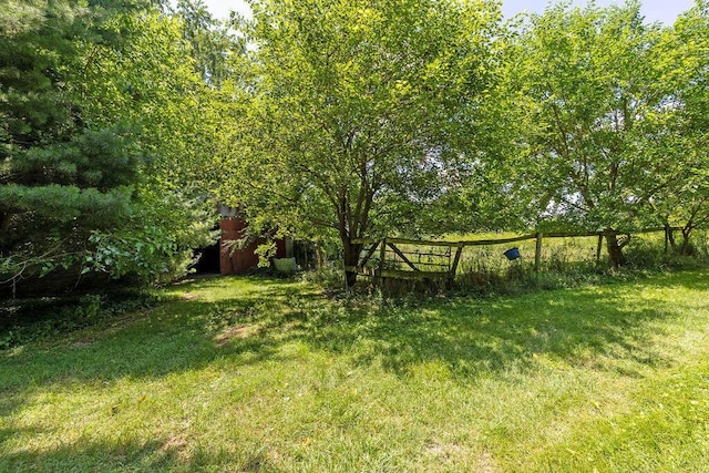 4093 State Route 257, Radnor, OH 43066 - view of grassy yard