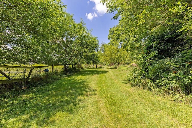 4093 State Route 257, Radnor, OH 43066 - view of grassy yard