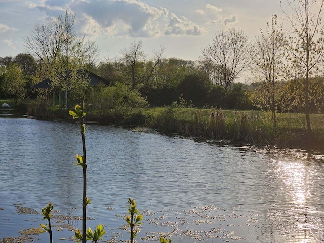 2309 N Houston Pike, South Vienna, OH 45369 - water view