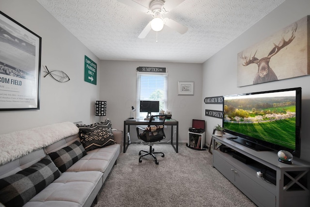 5906 Nash Ave, Westerville, OH 43081 - photo 18
