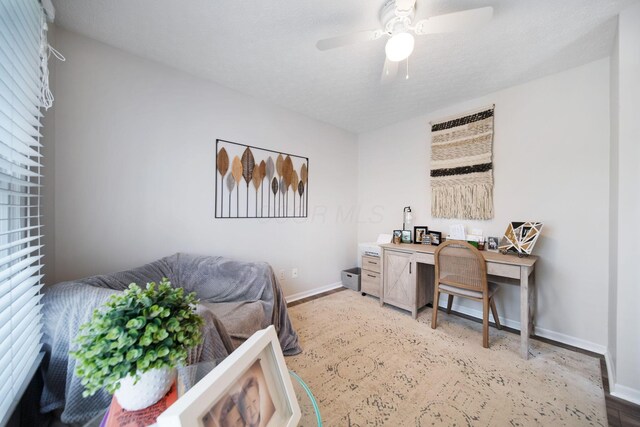 5906 Nash Ave, Westerville, OH 43081 - photo 5