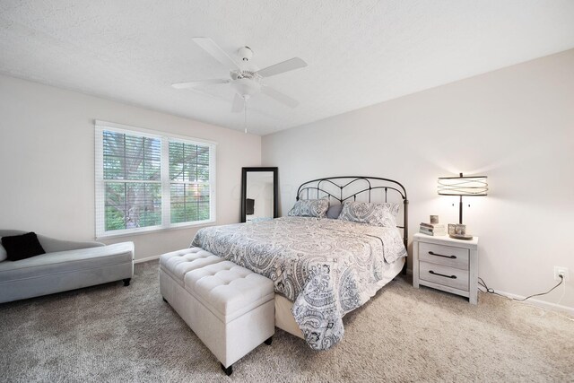 5906 Nash Ave, Westerville, OH 43081 - photo 13