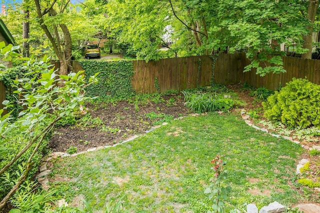 431 Glen Echo Cir, Columbus, OH 43202 - view of yard