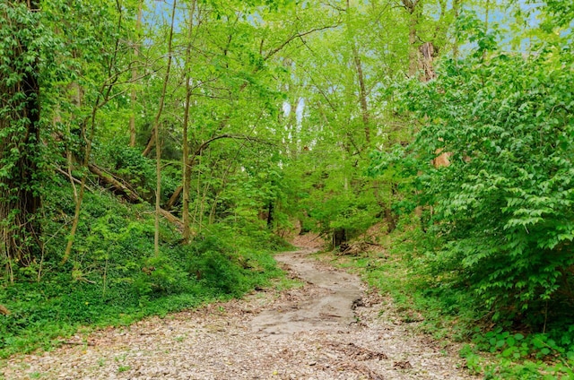 431 Glen Echo Cir, Columbus, OH 43202 - view of woods