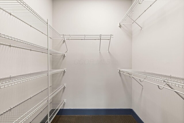123 Aston Row Ln, Columbus, OH 43201 - view of walk in closet