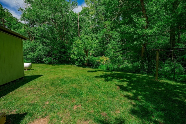 2719 Sulphur Lick Rd, Chillicothe, OH 45601 - view of grassy yard