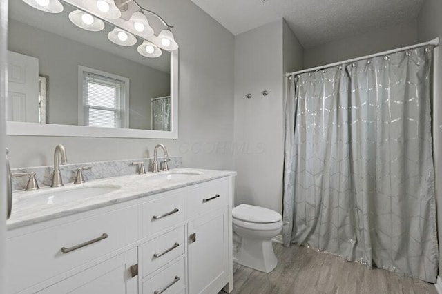 5208 Nightshadow Dr, Westerville, OH 43081 - bathroom featuring toilet, wood finished floors, double vanity, and curtained shower