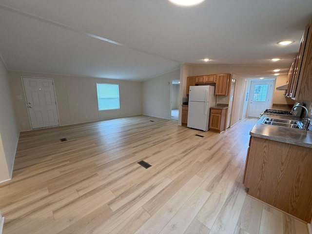 45 Winter Pine Dr, Delaware, OH 43015 - kitchen with freestanding refrigerator, a sink, light wood-style flooring, lofted ceiling, and dark countertops