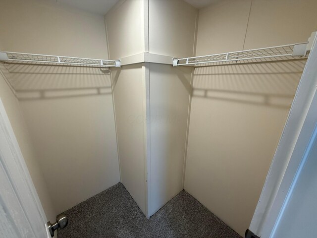 45 Winter Pine Dr, Delaware, OH 43015 - spacious closet with carpet floors