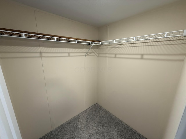 45 Winter Pine Dr, Delaware, OH 43015 - spacious closet with carpet floors
