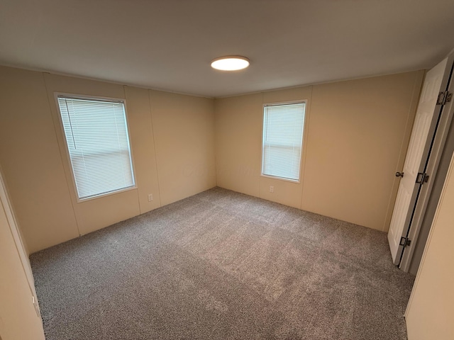 45 Winter Pine Dr, Delaware, OH 43015 - empty room with carpet