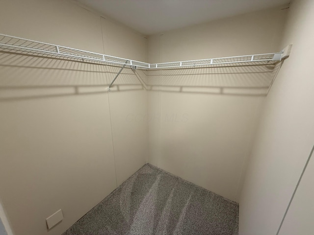 45 Winter Pine Dr, Delaware, OH 43015 - spacious closet featuring carpet floors