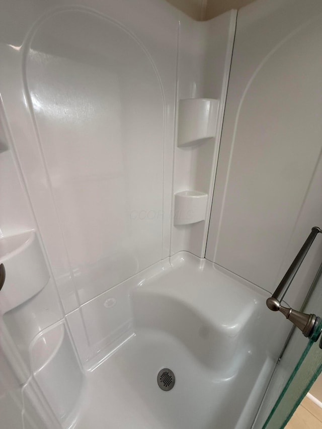 45 Winter Pine Dr, Delaware, OH 43015 - full bathroom with a shower