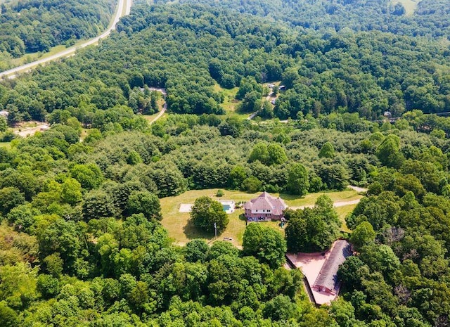 40455 Cone Rd, Albany, OH 45710 - drone / aerial view of a forest