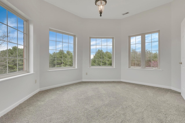40455 Cone Rd, Albany, OH 45710 - spare room featuring carpet flooring and plenty of natural light