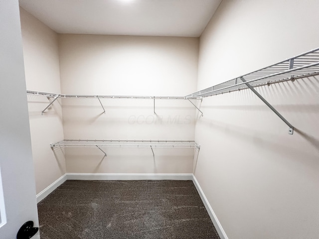 13541 Queen Rd NE, Thornville, OH 43076 - walk in closet with carpet flooring