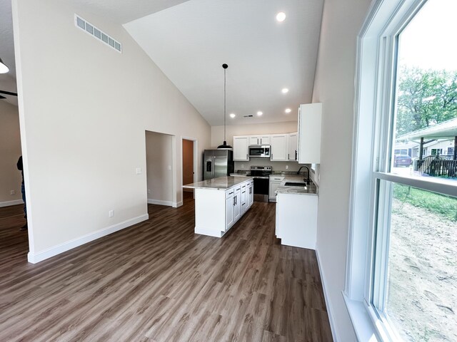 13541 Queen Rd NE, Thornville, OH 43076 - kitchen with stainless steel appliances, a sink, a center island, high vaulted ceiling, and plenty of natural light