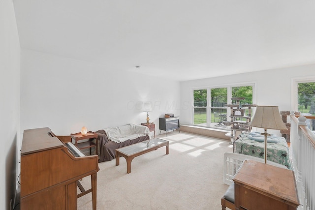 385 Taylor Blair Rd, West Jefferson, OH 43162 - view of carpeted living area