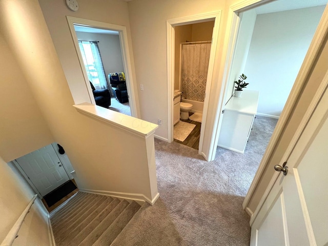 324 Genoa Rd, Commercial Point, OH 43116 - stairway featuring carpet and baseboards