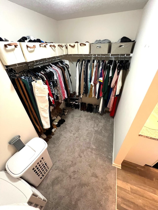 324 Genoa Rd, Commercial Point, OH 43116 - view of walk in closet