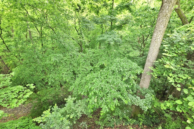 72 Glenmont Ave, Columbus, OH 43214 - view of tree filled area