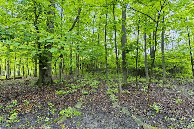 8039 Crossgate Ct S, Dublin, OH 43017 - view of tree filled area