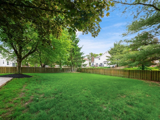 351 Northview Dr, Powell, OH 43065 - view of yard