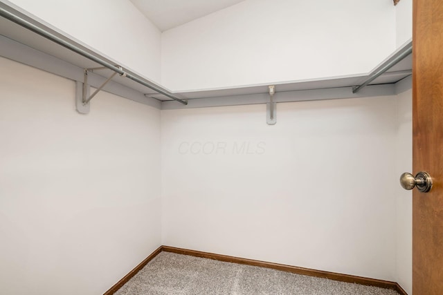 351 Northview Dr, Powell, OH 43065 - spacious closet featuring carpet flooring