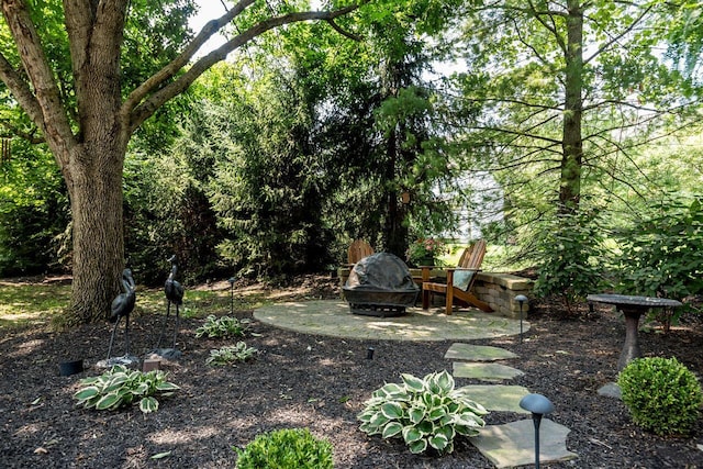 5714 Zetland Ct, Dublin, OH 43017 - view of yard with an outdoor fire pit and a patio area