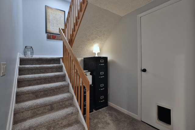 4793 Crazy Horse Ln, Westerville, OH 43081 - photo 25