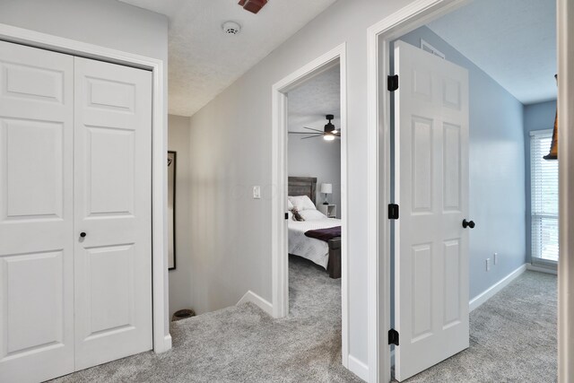 4793 Crazy Horse Ln, Westerville, OH 43081 - photo 36