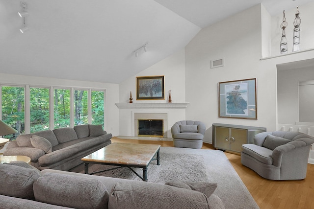 744 Old Oak Trce, Columbus, OH 43235 - living room with rail lighting, lofted ceiling, light wood-style flooring, and a fireplace with flush hearth
