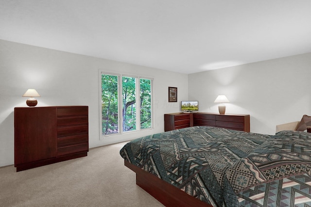 744 Old Oak Trce, Columbus, OH 43235 - bedroom featuring carpet floors