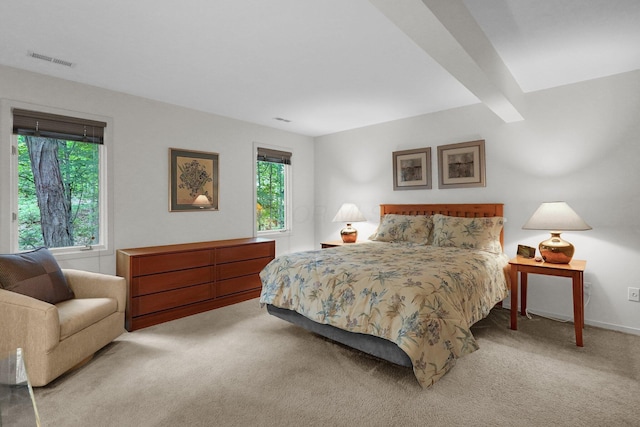 744 Old Oak Trce, Columbus, OH 43235 - bedroom featuring multiple windows and light carpet