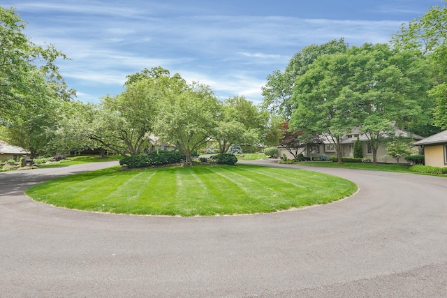 744 Old Oak Trce, Columbus, OH 43235 - view of front of house with curved driveway and a front lawn