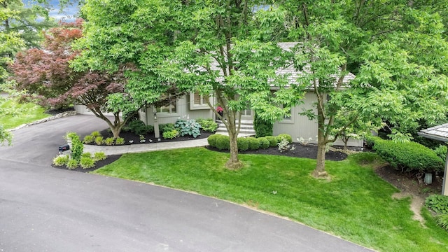 744 Old Oak Trce, Columbus, OH 43235 - obstructed view of property featuring a front yard and driveway