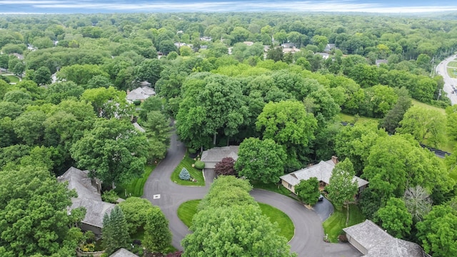 744 Old Oak Trce, Columbus, OH 43235 - aerial view of a forest