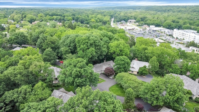 744 Old Oak Trce, Columbus, OH 43235 - aerial view of a forest