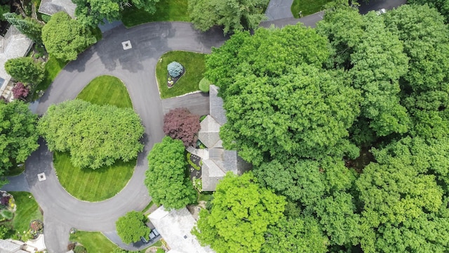 744 Old Oak Trce, Columbus, OH 43235 - aerial view