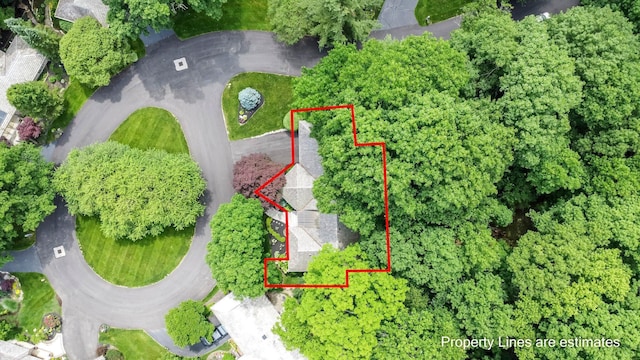 744 Old Oak Trce, Columbus, OH 43235 - aerial view of property and surrounding area with property boundaries highlighted