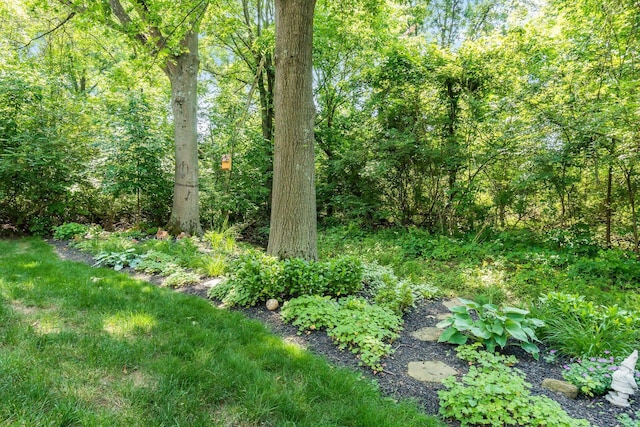 165 Tinley Park Cir, Delaware, OH 43015 - view of woods