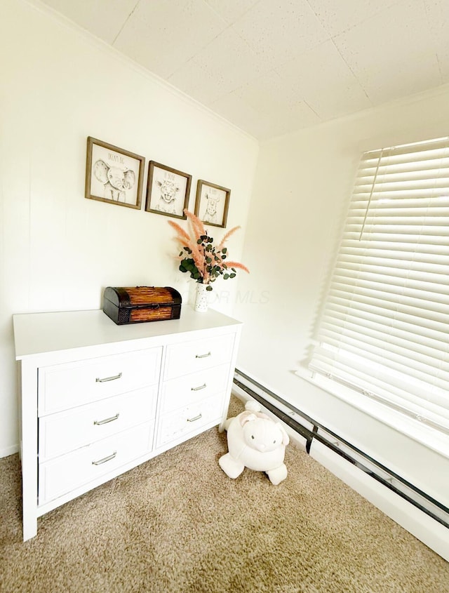 313 E Auburn Ave, Bellefontaine, OH 43311 - carpeted bedroom with a baseboard heating unit and crown molding