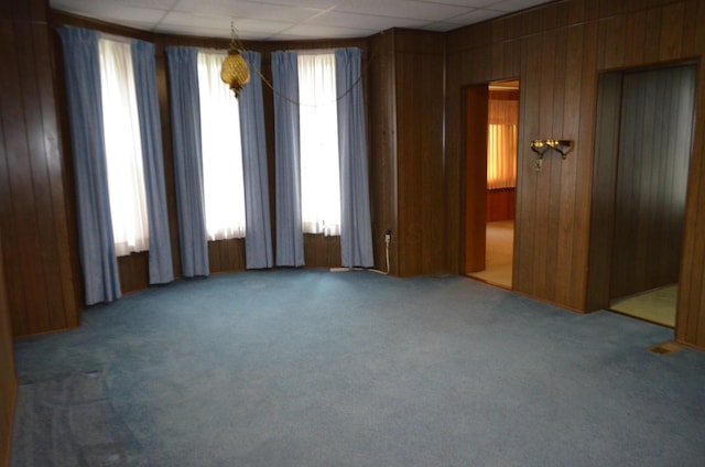 5810 Bickle Church Rd NW, Pickerington, OH 43147 - carpeted empty room with a drop ceiling and wooden walls