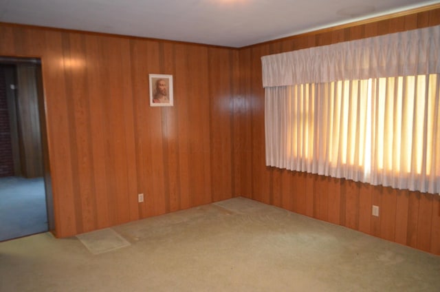 5810 Bickle Church Rd NW, Pickerington, OH 43147 - carpeted empty room with wooden walls