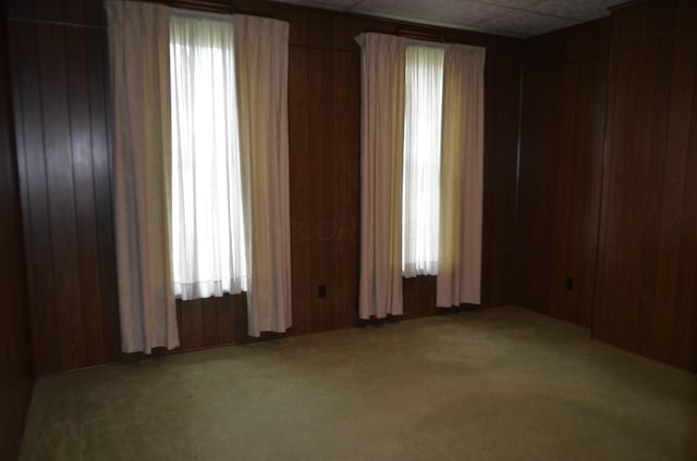 5810 Bickle Church Rd NW, Pickerington, OH 43147 - empty room with light carpet and wood walls