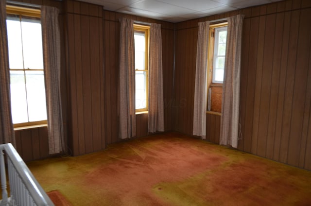 5810 Bickle Church Rd NW, Pickerington, OH 43147 - spare room featuring light colored carpet, healthy amount of natural light, and wood walls