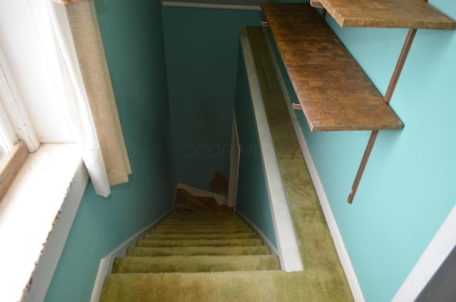 5810 Bickle Church Rd NW, Pickerington, OH 43147 - stairway featuring carpet floors