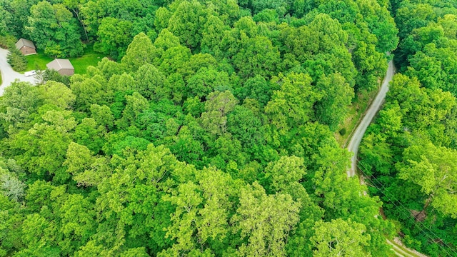 1036 State Route 247, Hillsboro, OH 45133 - drone / aerial view of a forest