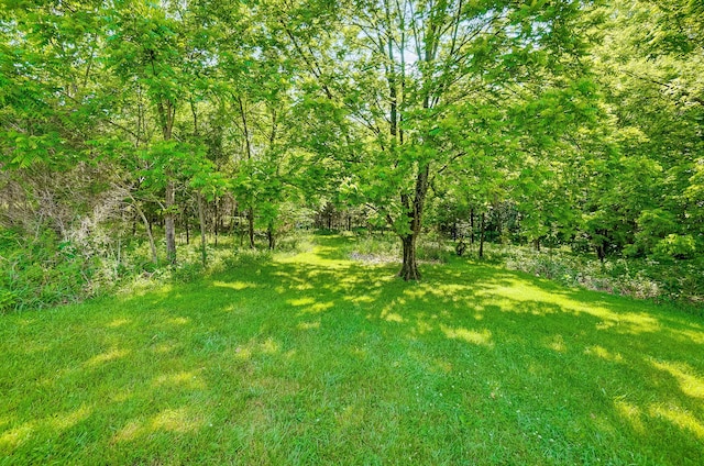 1036 State Route 247, Hillsboro, OH 45133 - view of grassy yard
